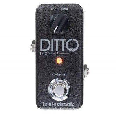 Гітарна педаль TC Electronic Ditto+ Looper 9.5.3.0065 фото