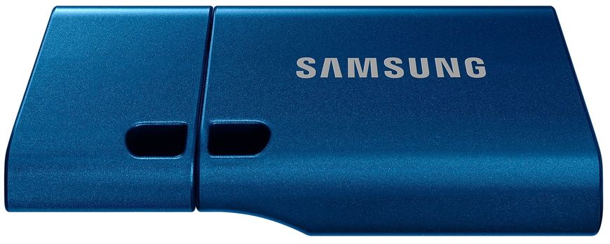 USB-флешка Samsung USB Type-C 256 ГБ (MUF-256DA/APC) mn.10.21.46579 фото